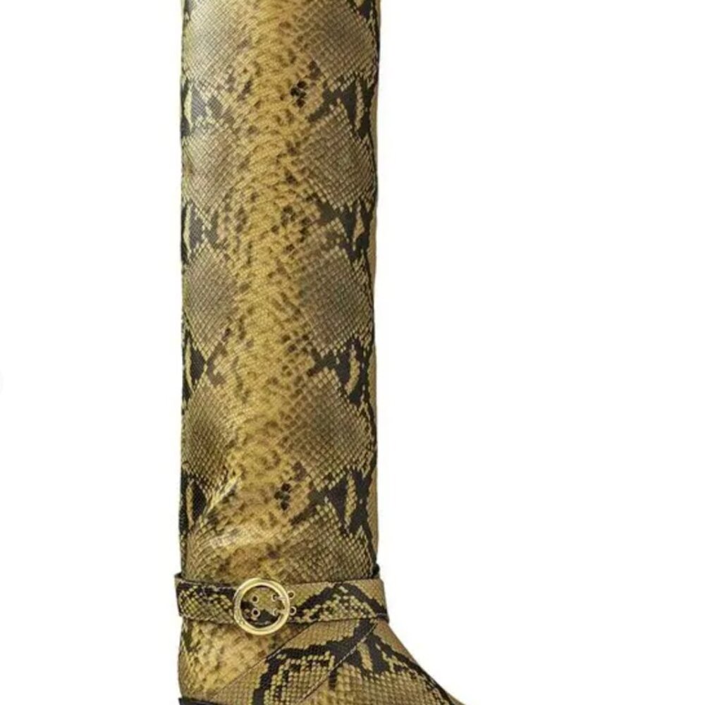 Gorgeous Jimmy Choo Boots